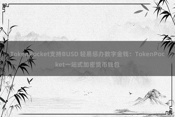 TokenPocket支持BUSD 轻易惩办数字金钱：TokenPocket一站式加密货币钱包