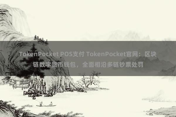 TokenPocket POS支付 TokenPocket官网：区块链数字货币钱包，全面相沿多链钞票处罚